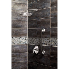 MOEN Moen S110BN Arris 14 in. Shower Arm and Flange in Brushed Nickel