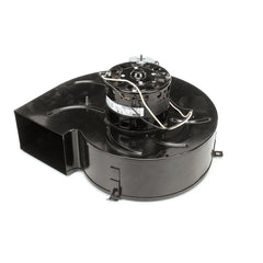 WELLS 2U-302984 HOUSEWARES & COOKING