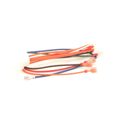 FRYMASTER 1065750SP MOTOR WIRING HARNESSES