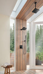 BRIZO Brizo 88788-BL Vettis Multi Function Hand Shower in Matte Black