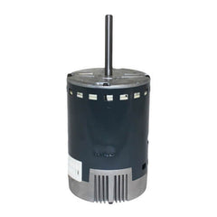 199542744.jpg
