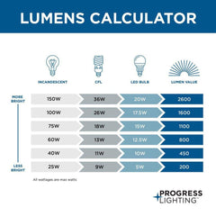 PROGRESS LIGHTING Progress Lighting P4961-30 Square Gl 2-60W Med Clse To Clg White