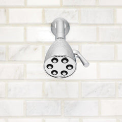 SPEAKMAN Speakman S-2252-E175 Icon Multi Function Showerhead 1.75 GPM