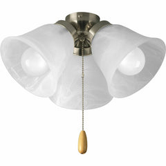 PROGRESS LIGHTING P2642-09WB LIGHTING, CONTROLS & ACCESSORIES