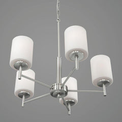 PROGRESS LIGHTING P4319-09 LIGHTING, CONTROLS & ACCESSORIES