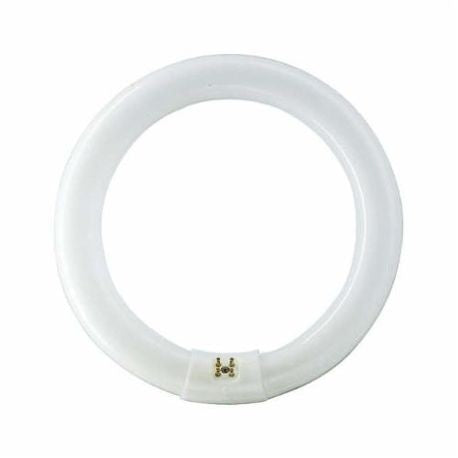 199552239.jpg