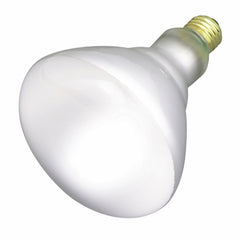 199552448.jpg