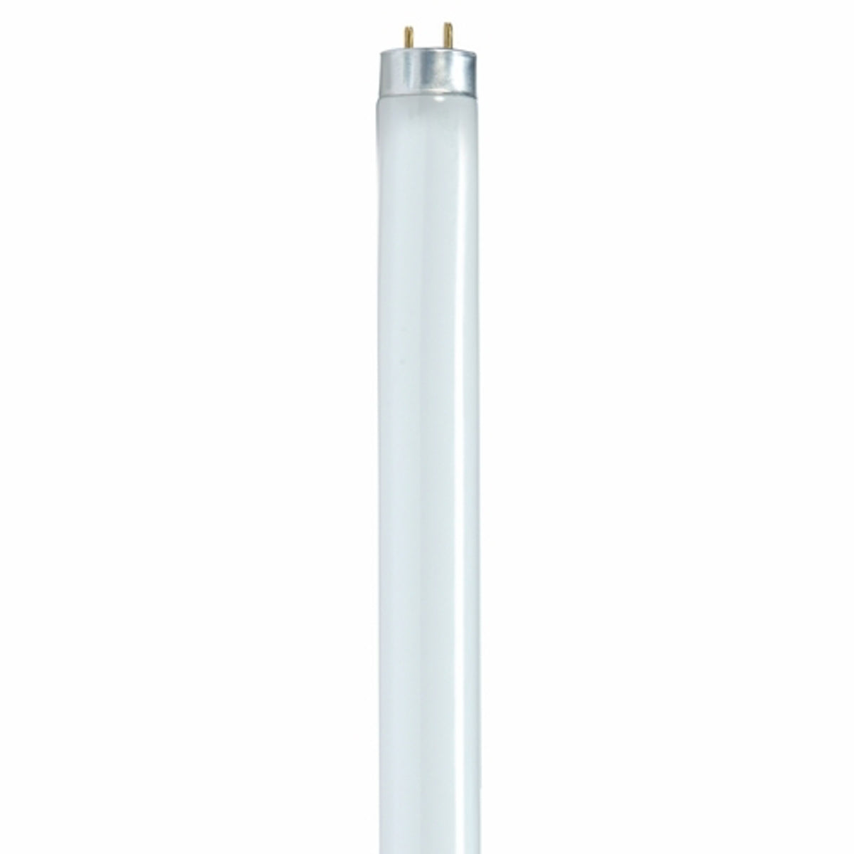 SATCO-NUVO Satco S8420 Fluorescent T8 Linear Lamp 32 Watt