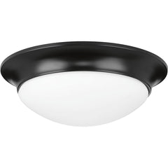 PROGRESS LIGHTING P350147-031 LIGHTING, CONTROLS & ACCESSORIES