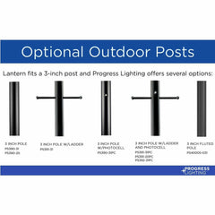 PROGRESS LIGHTING P5414-31 LIGHTING, CONTROLS & ACCESSORIES