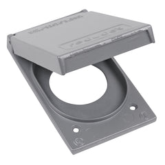 199554909.jpg