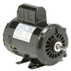 199555377.jpg