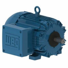 WEG 00518XT3E184T