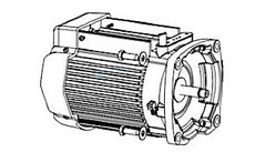 199557111.jpg
