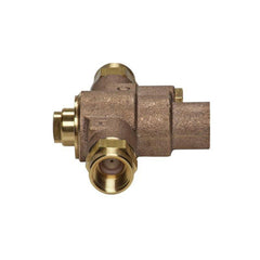 HAWS Haws 9201EW Axion 1/2 in. FNPT Brass Thermostat Mixing Valve