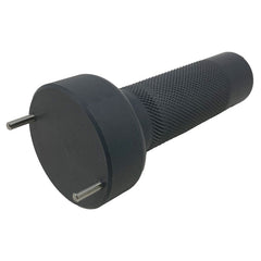ZODIAC 38094 POOL SWITCHES