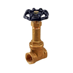 EVERFLOW 44122-NL GATE VALVES
