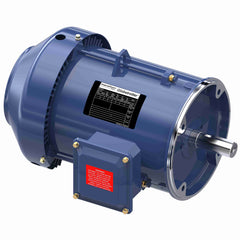 MARATHON MOTORS MARATHON MOTORS MGT1313 General Purpose Motor 5 HP 184TC TEFC
