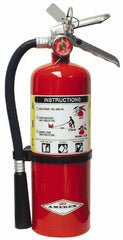 AMEREX Amerex 15312 Dry Chemical Fire Extinguisher 5 Lb Abc
