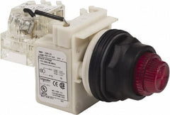 SCHNEIDER ELECTRIC Schneider Electric 9001SKT1LRR31 Led Pilot Light 120V