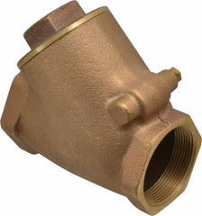 LEGEND VALVE Legend Valve 105-308 Y-pattern Check Valve 2 in Fnpt