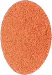 NORTON Norton 63642595480 Quick-change Disc 50 Grit 3 in
