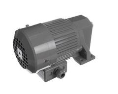 GLOBE Globe X80H56 Motor Bowl Raise 1/8 HP (Each GLOX80H56)