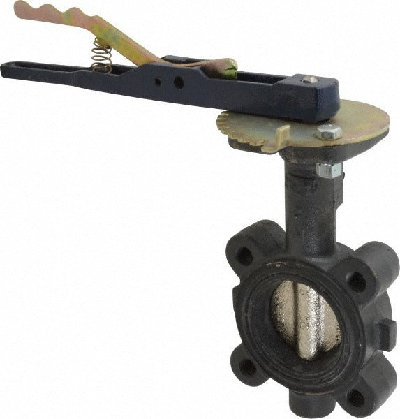 NIBCO Nibco NLG200D Lug Butterfly Valve 2 in Lever Handle 250 Psi