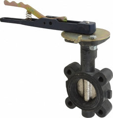 NIBCO Nibco NLG200D Lug Butterfly Valve 2 in Lever Handle 250 Psi