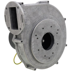 AO SMITH AO Smith 100111050 Blower Assembly