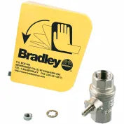 BRADLEY Bradley S19314BFSS Halo 1-1/4 in. NPT 316 and 304 Stainless Steel Floor Mount Safety Shower Eye/Face Wash Barrier