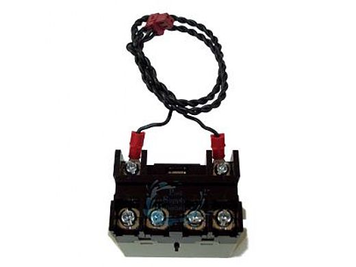 PENTAIR Pentair 520106 Relay EasyTouch IntelliTouch SunTouch 3hp DPST
