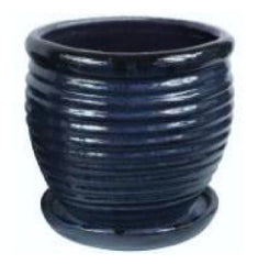 TRENDSPOT Trendspot Inc CR10479-05C Dripblu Honey Jar Planter 6 in