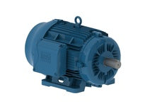 WEG 01012ET3E256T-W22 VARIABLE SPEED MOTORS