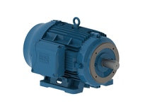 WEG 02018ET3E256TC-W22 VARIABLE SPEED MOTORS