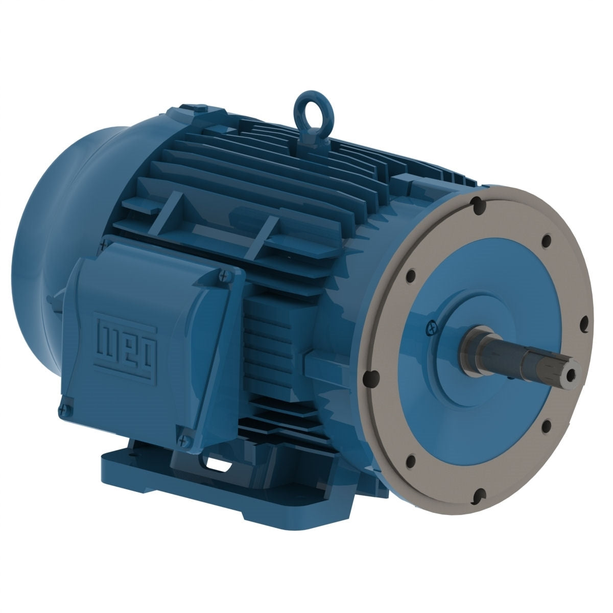 WEG 00718ET3E213JM-W22 VARIABLE SPEED MOTORS