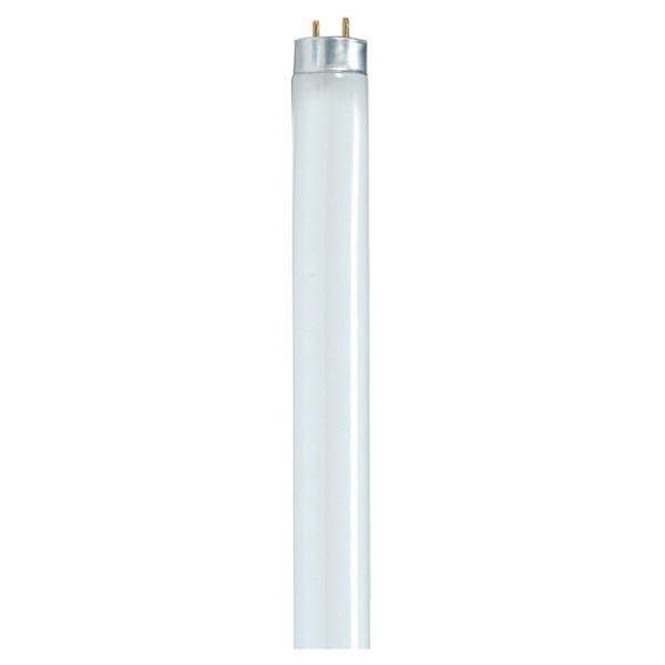 SATCO-NUVO Satco S8419 Fluorescent T8 Linear Lamp 32 Watt 48 Inch