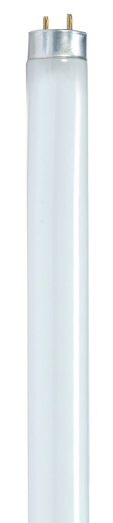 SATCO-NUVO Satco S8406 T8 Fluorescent Lamp 17 Watts 4100K Medium Bi Pin base