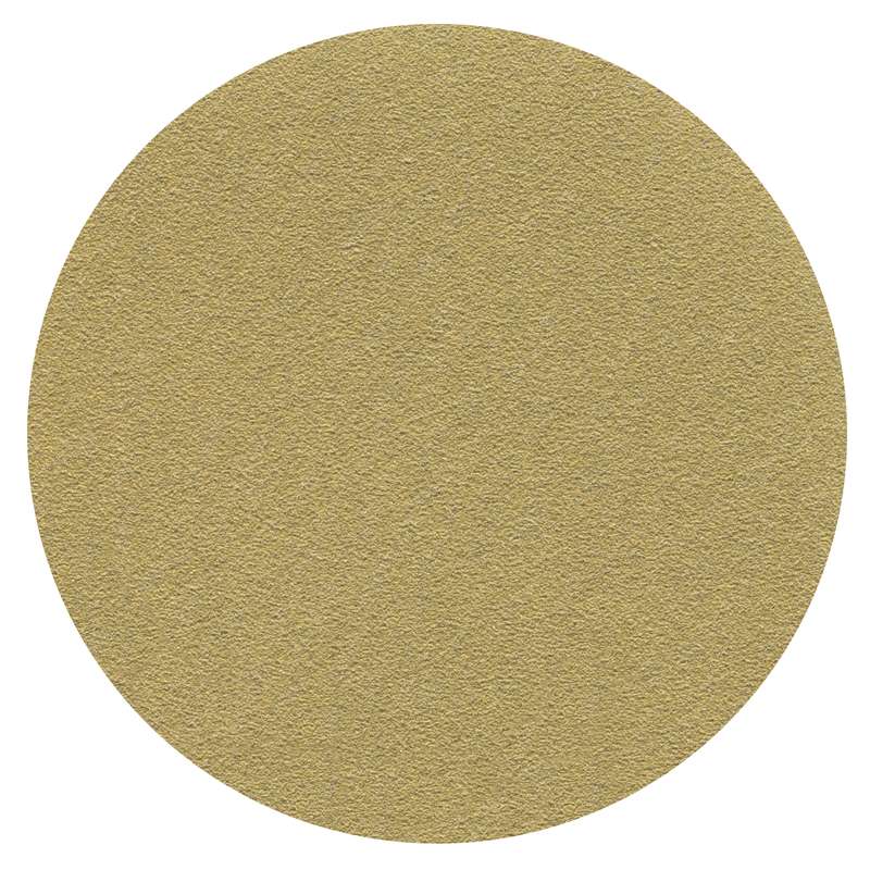 203872954.jpg