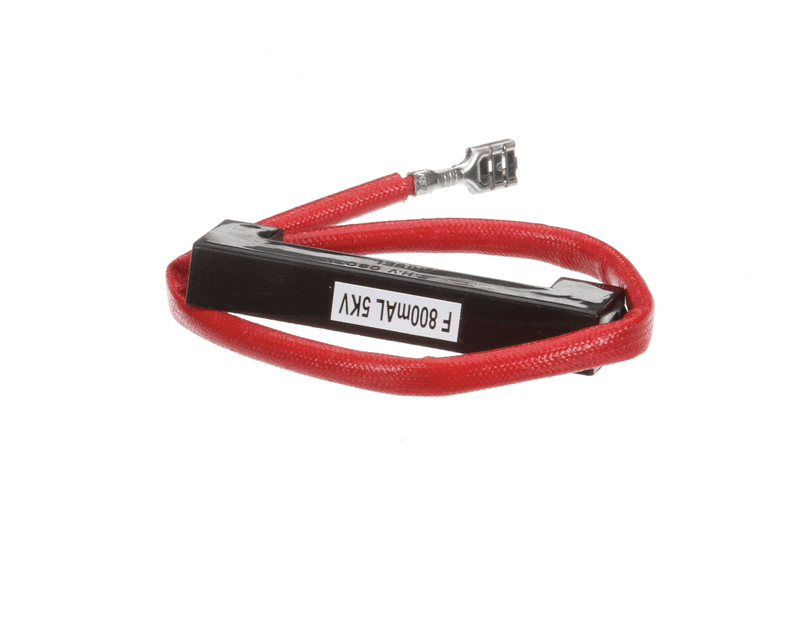 GOODMAN 54116050 FUSES