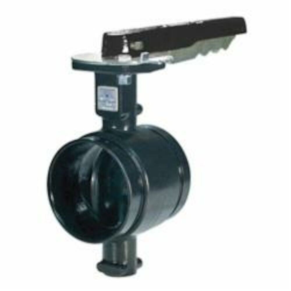 GRUVLOK 7005300053(AN7721-3)-CL BUTTERFLY VALVES