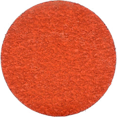 NORTON Norton 66261162313 Quick-change Disc 80 Grit 1.5 in