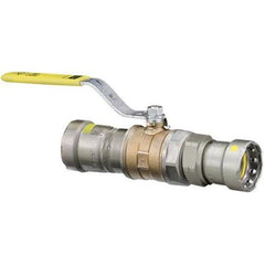 VIEGA 30700
