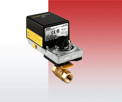 NEPTRONIC FPD1020YP1DT060S