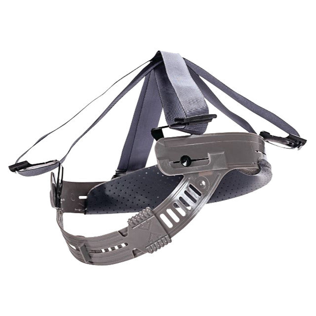 MSA SAFETY SALES 454231