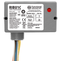 FUNCTIONAL RIBU1C