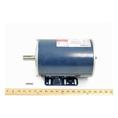 MARATHON MOTORS U424A NEMA & TEFC MOTORS