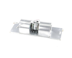 INTERNATIONAL ENVIROMENTAL F400-00002487