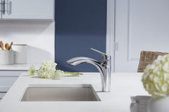 KOHLER Kohler 30468-CP Rival Single Handle Pull Out Kitchen Faucet in Polished Chrome