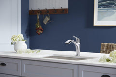 KOHLER Kohler 30468-CP Rival Single Handle Pull Out Kitchen Faucet in Polished Chrome